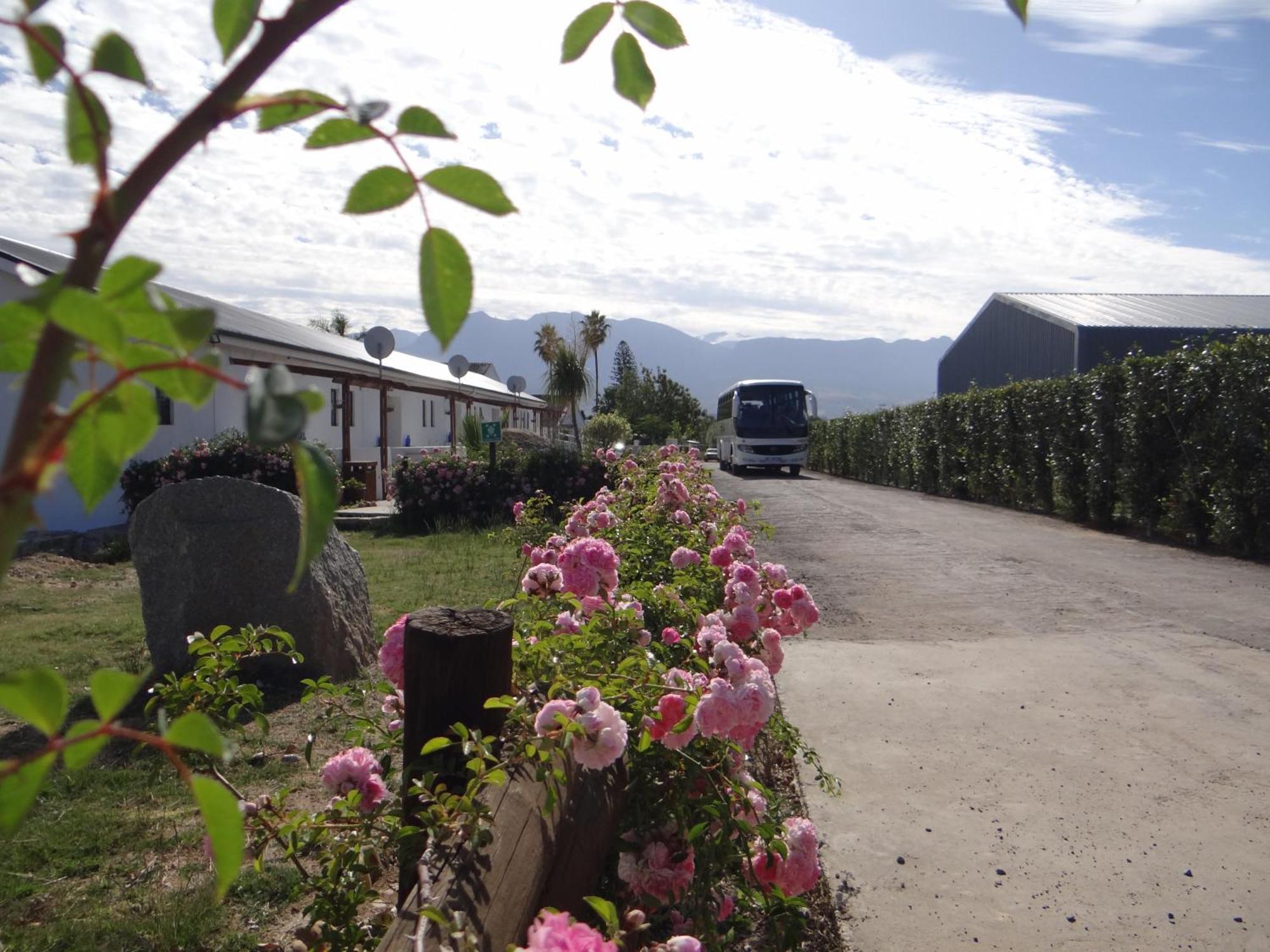 Middelplaas Paarl Guesthouse Exterior foto